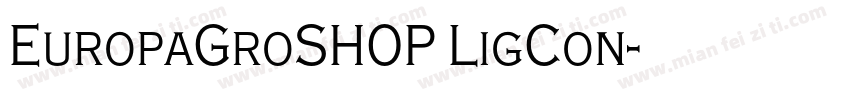 EuropaGroSHOP LigCon字体转换